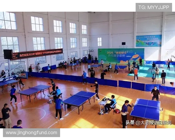 乒乓球运动的魅力与发展探究从竞技技巧到全民健身的全面解析